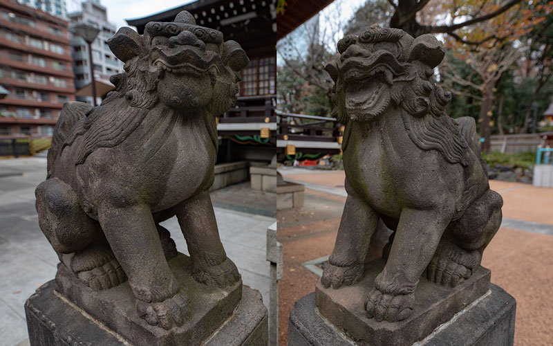 十二社熊野神社の狛犬