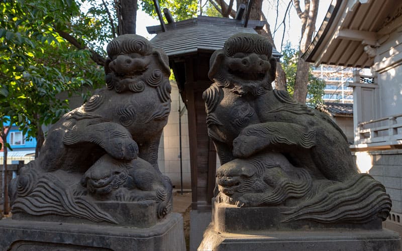 神明氷川神社の末社津島神社の狛犬