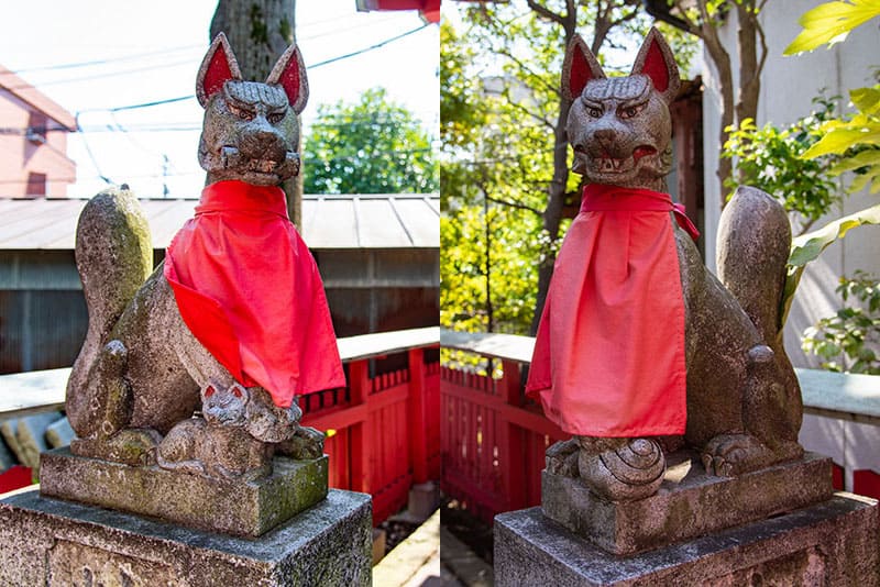 新井天神北野神社　稲荷神社の狐