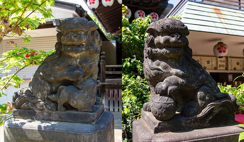 新井天神北野神社　拝殿の狛犬