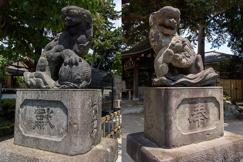 沼袋氷川神社　狛犬