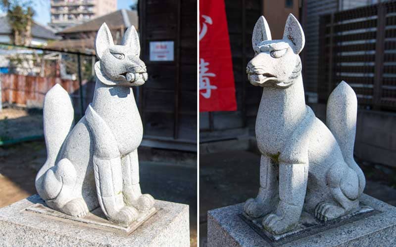 海神稲荷神社　狐