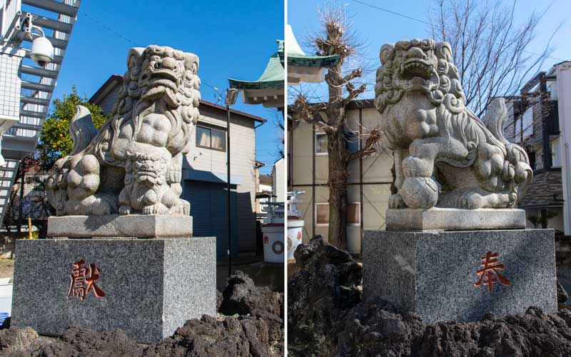 亀高神社　狛犬