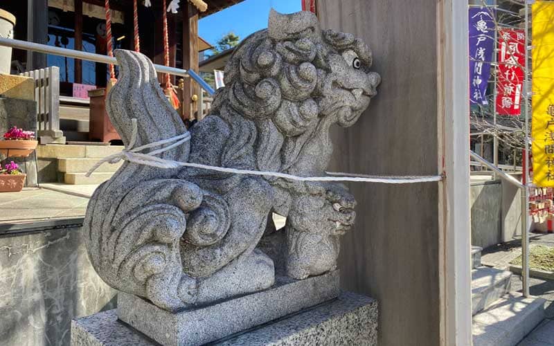 亀戸浅間神社　狛犬