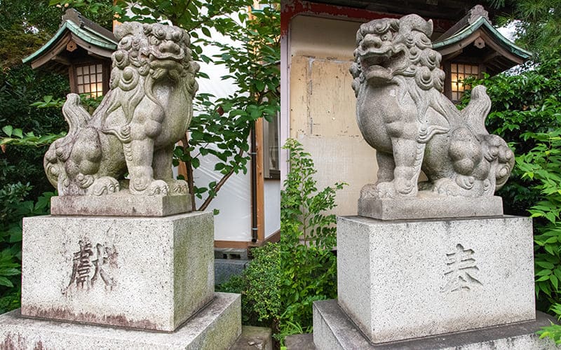 小岩神社　狛犬