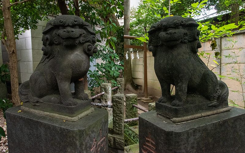 小岩神社　和霊神社狛犬