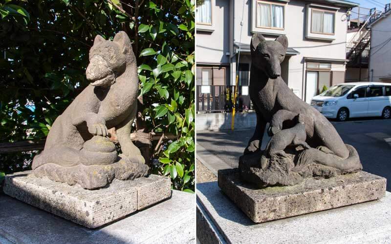 赤城神社　稲荷神社の狐