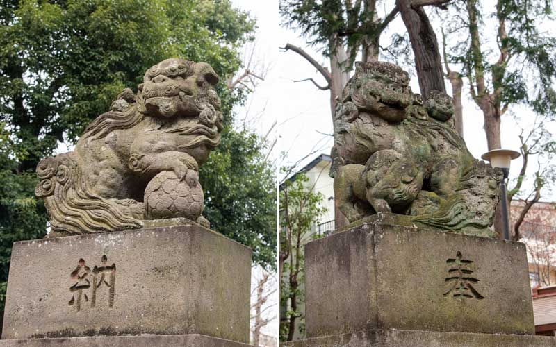 天沼八幡神社　狛犬