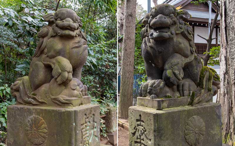 荻窪八幡神社　狛犬