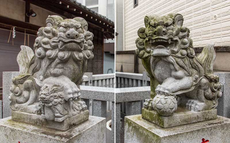 荻窪白山神社　境内社狛犬
