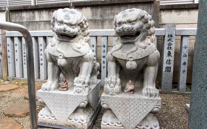荻窪白山神社　狛犬